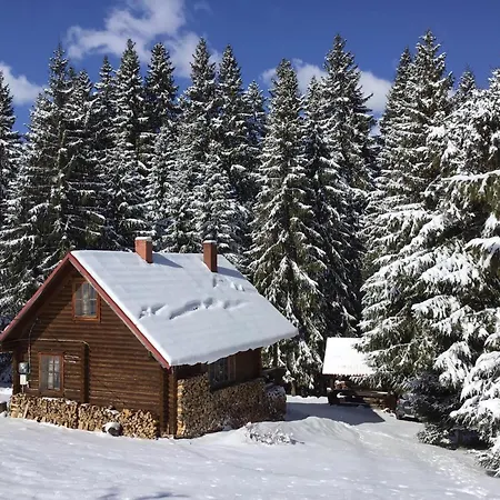 Jazz Xata Yablunytsia