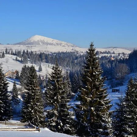 Jazz Xata * Yablunytsia